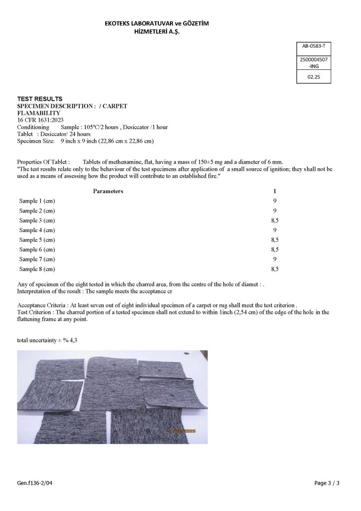 fire resistance test English_Page_3